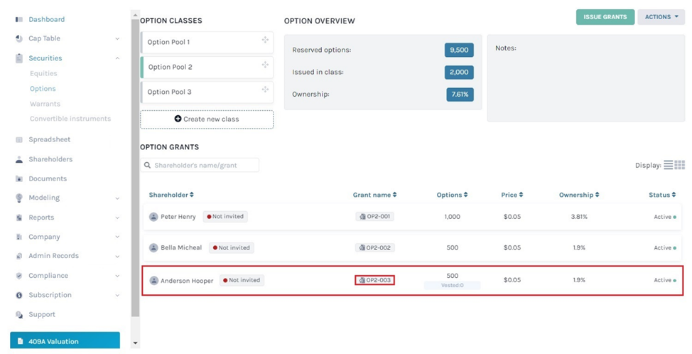 option grant name 