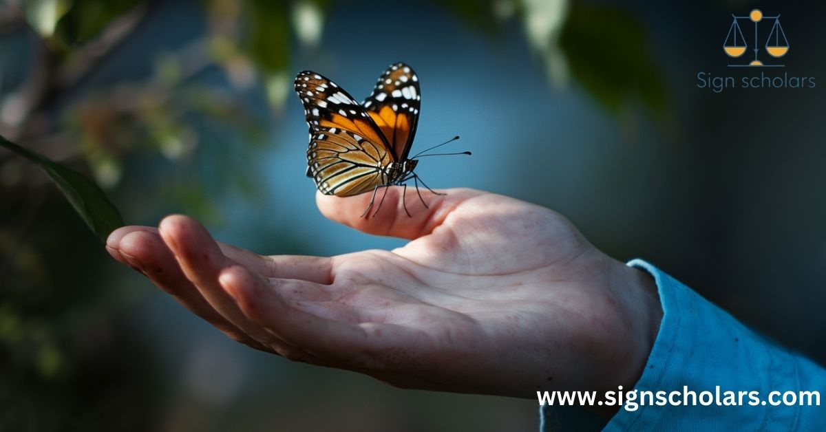 The Science Behind the Magic: Why Butterflies Land on Humans