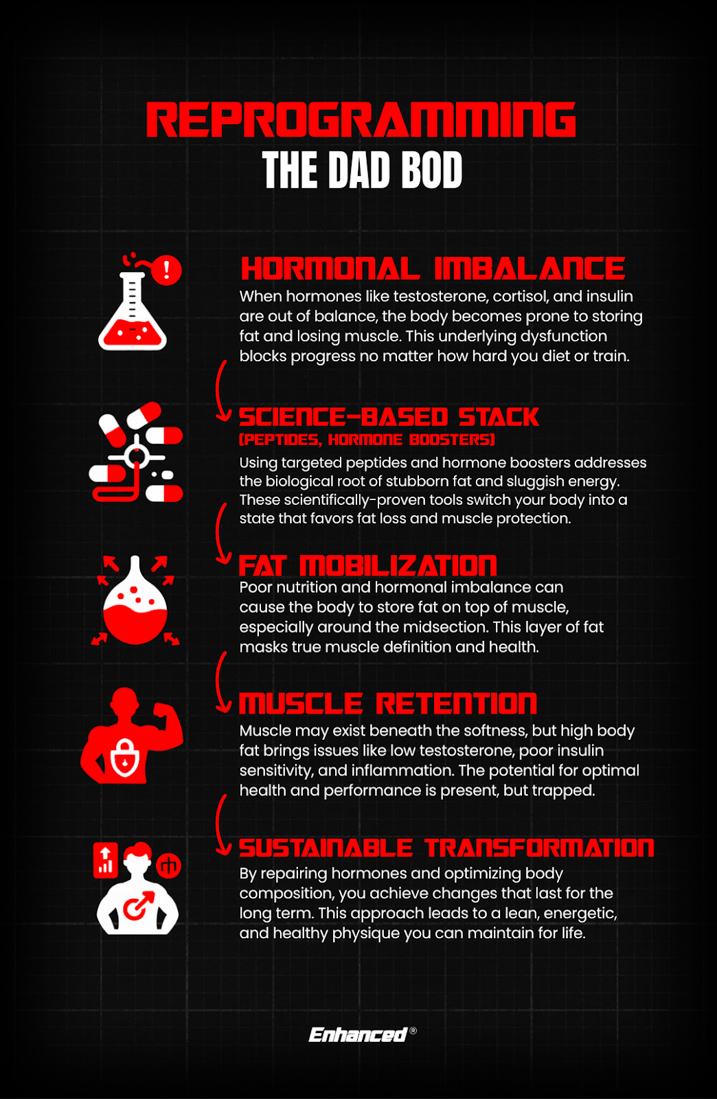 reprogramming-the-dad-bod-infographic-hormonal-imbalance-peptides-fat-mobilization-muscle-retention-sustainable-transformation-enhanced-labs-tony-huge