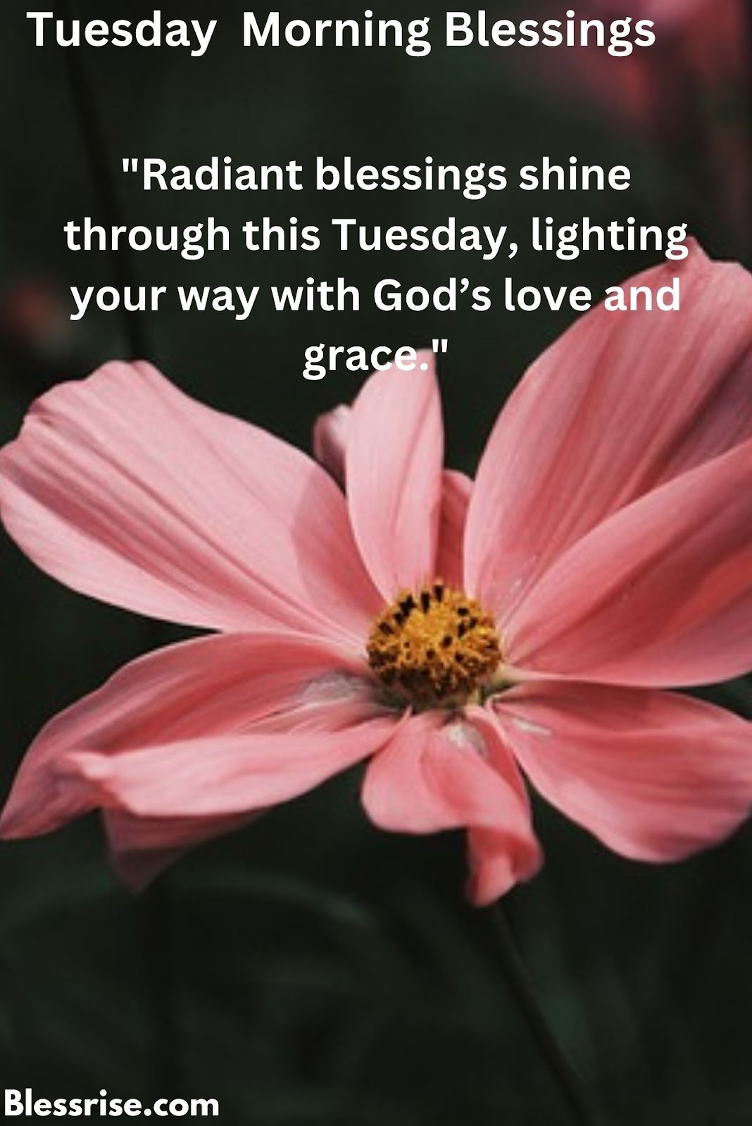 Tuesday prayer