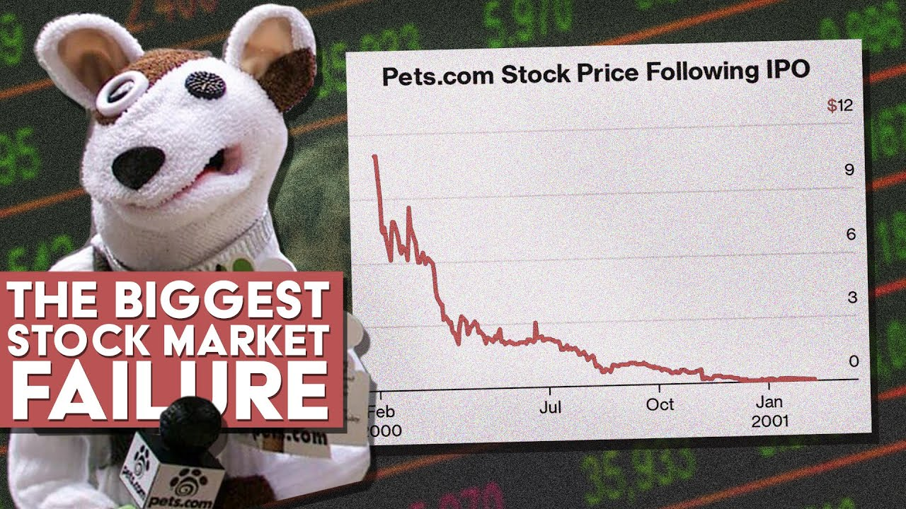 <a href="https://www.youtube.com/watch?app=desktop&amp;v=oyyq_aMPCtg">The Story of Pets.Com: The Biggest Stock Market Failure Ever - The Dot-Com Bubble</a>