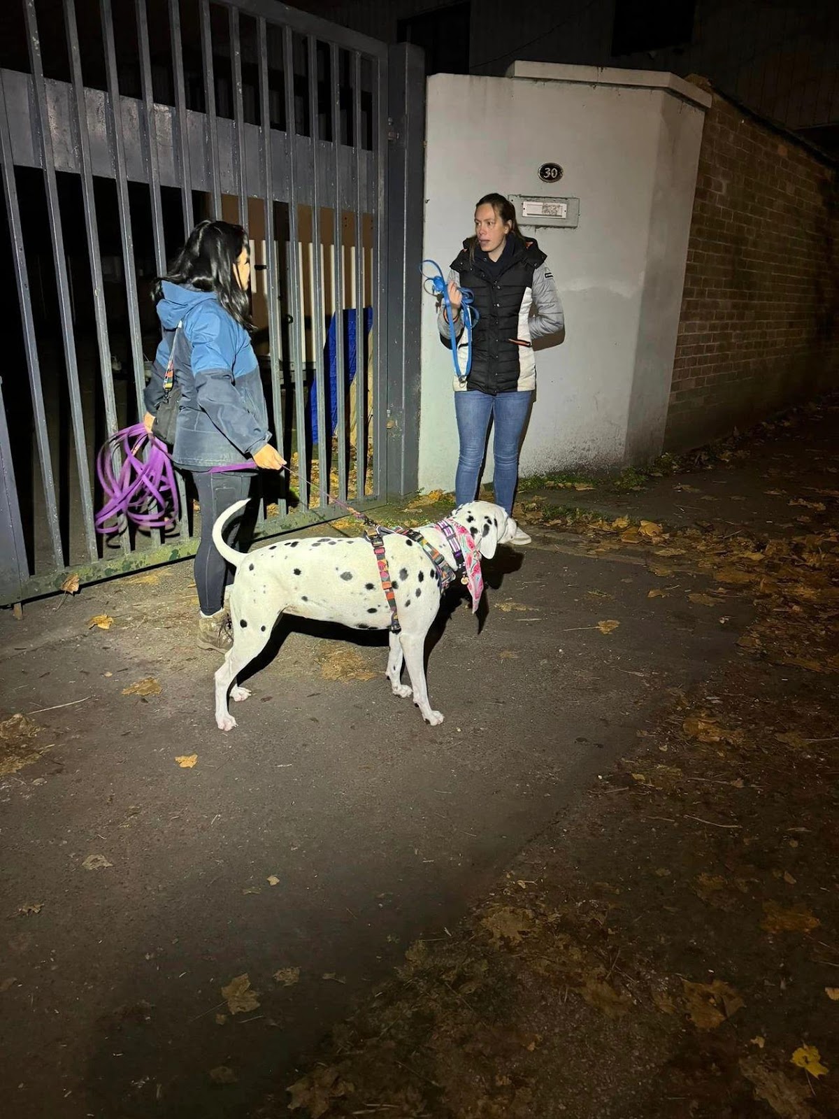 Hannah explaining to a new customer how to do their first ever man trail with their dalmatian