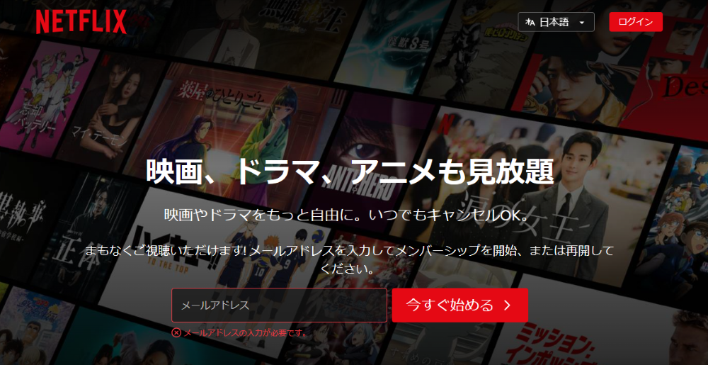 Netflix LP 簡素な入力フォーム