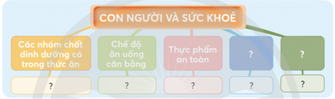 BÀI 29. ÔN TẬP CHỦ ĐỀ CON NGƯỜI VÀ SỨC KHỎESơ đồ hóa