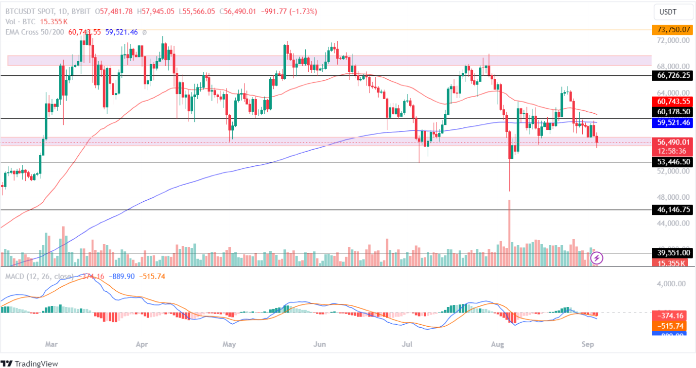 Bitcoin Price Analysis