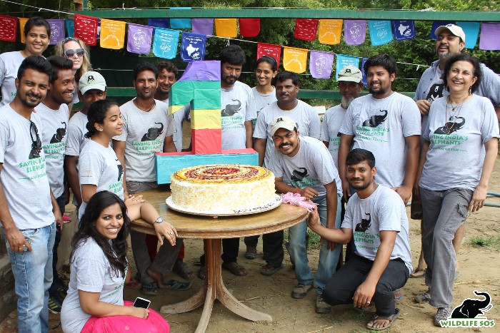 The cake celebration of Raju's rescue anniversary