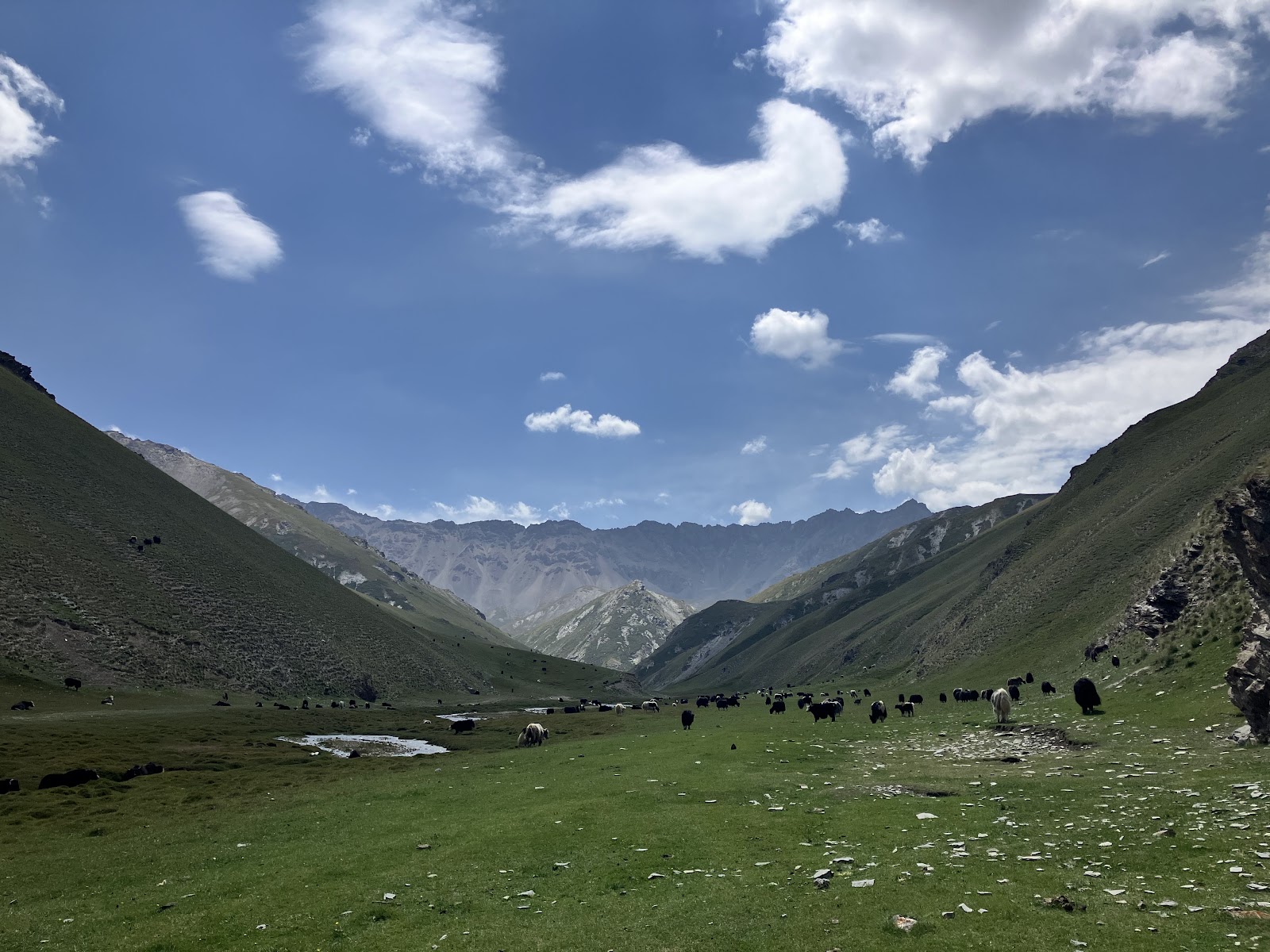 Surroundings of Tash Rabat | View of The Mountains