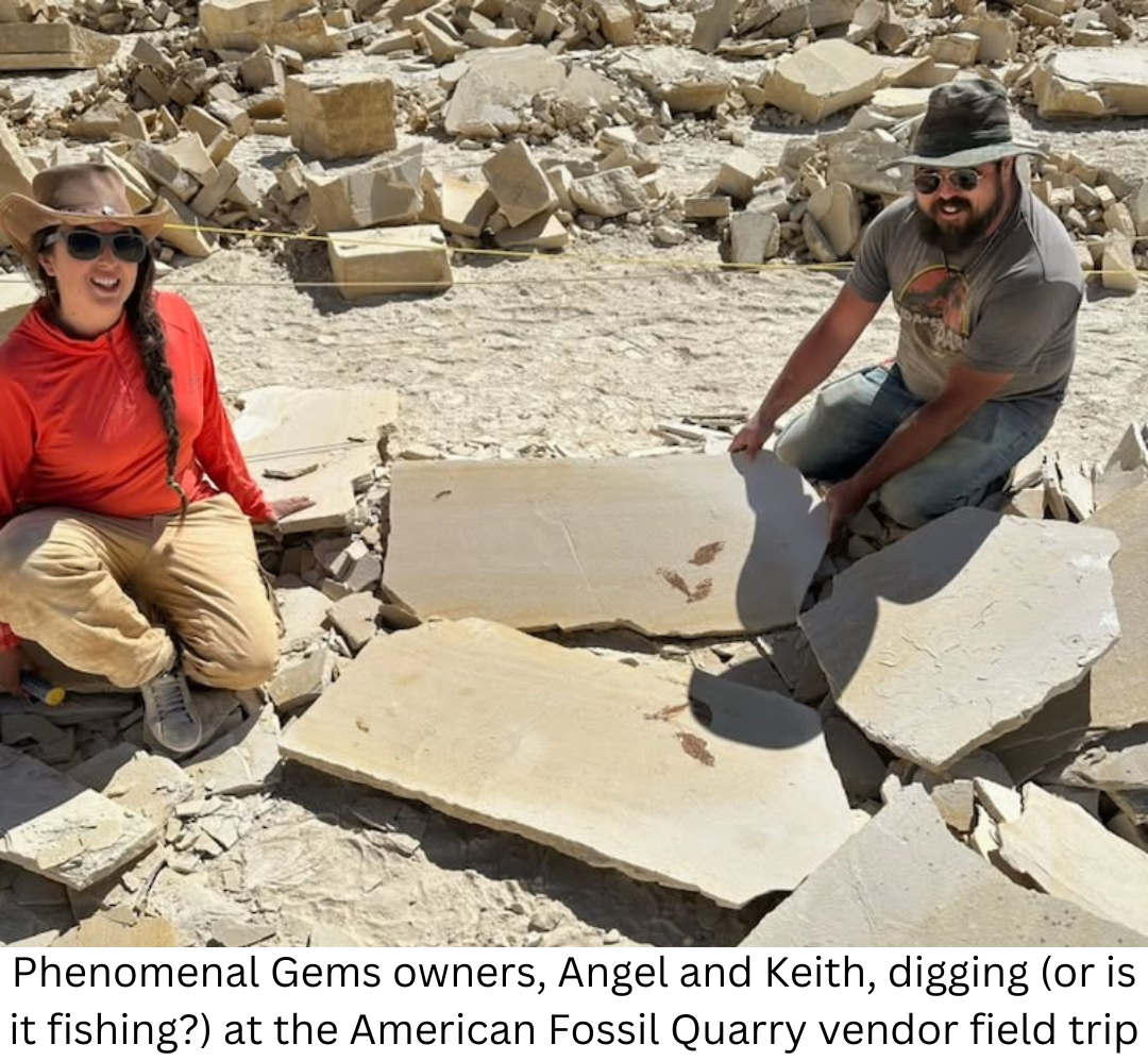 Phenomenal Gems owners, Angel and Keith, digging (or is it fishing?) at the American Fossil Quarry vendor field trip