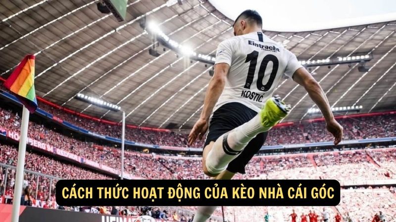 Cách thức hoạt động của kèo nhà cái góc