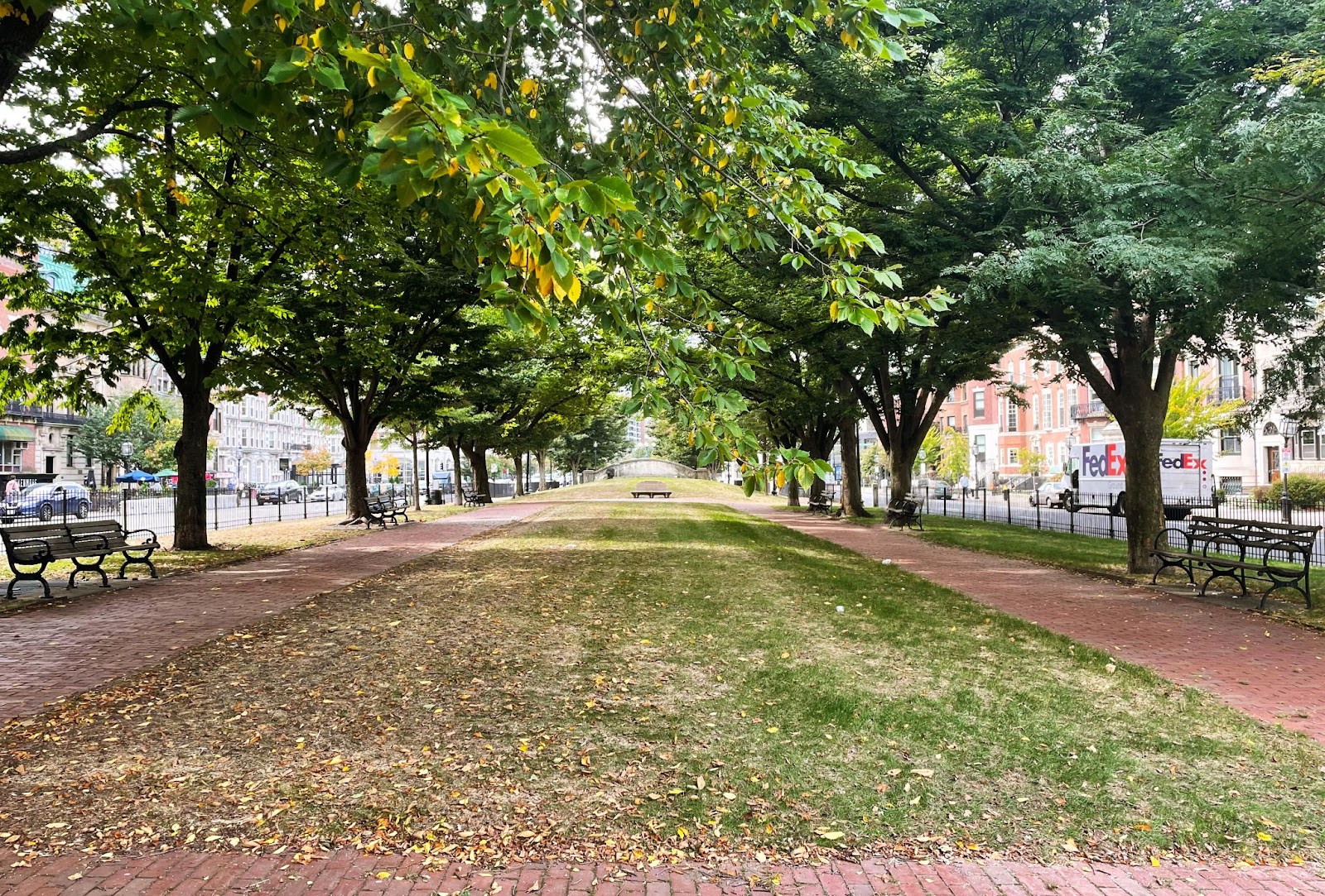 Towering trees provide shade on the large walkway, splitting traffic down the middle of the street. As the leaves yellow and fall now that the weather is cooling, the grassy walkway is awash in a wave of yellow. Brown brick is barely visible through the treetops, making it seem like the lengthy grove is all that exists within the urban markets surrounding it.