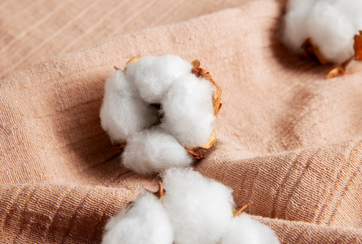 Sustainable Fabric Sourcing: What Apparel Brands Should Know