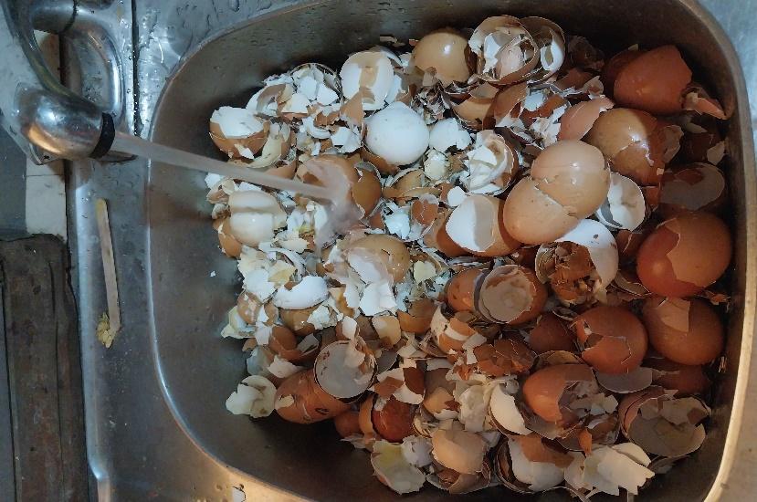 A sink full of eggshells

Description automatically generated