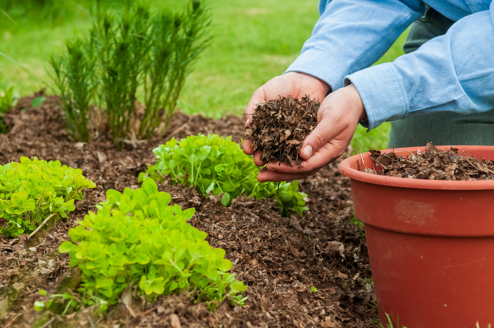 Benefits of Mulching