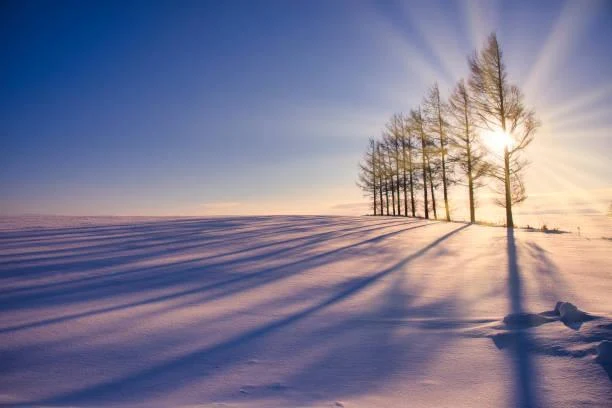 Deep Into Nature: 15 Captivating Scenes, deep nature, immersive photos, nature, landscape, jungle, mountain, hidden spots