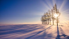 Deep Into Nature: 15 Captivating Scenes