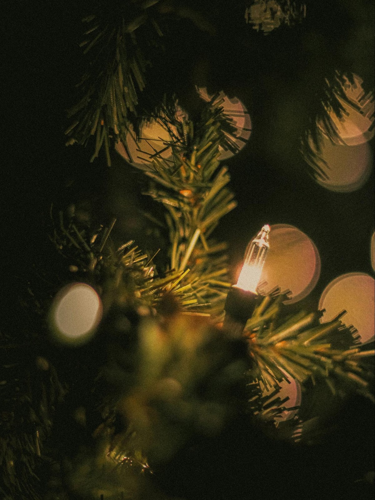 LED vs incandescent Christmas lights environmental impact