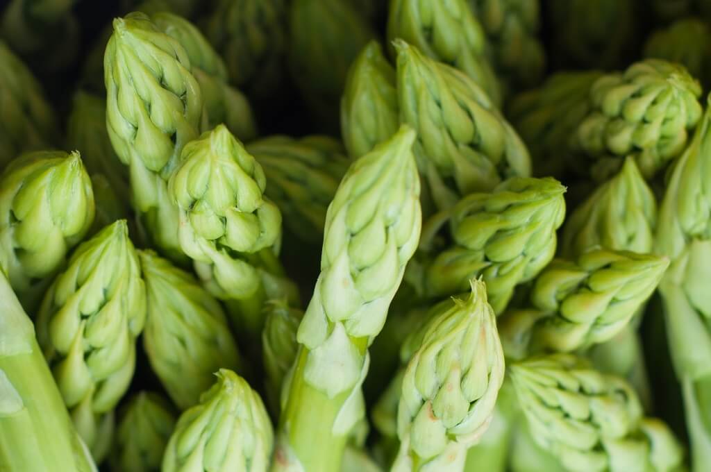 Asparagus spears, a source of prebiotic fiber