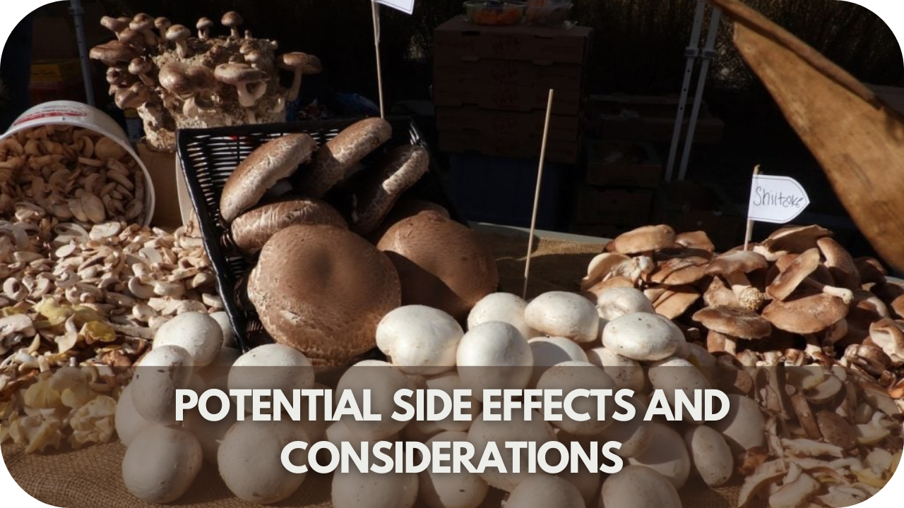 Important factors to keep in mind and possible side effects when using functional mushroom blends.