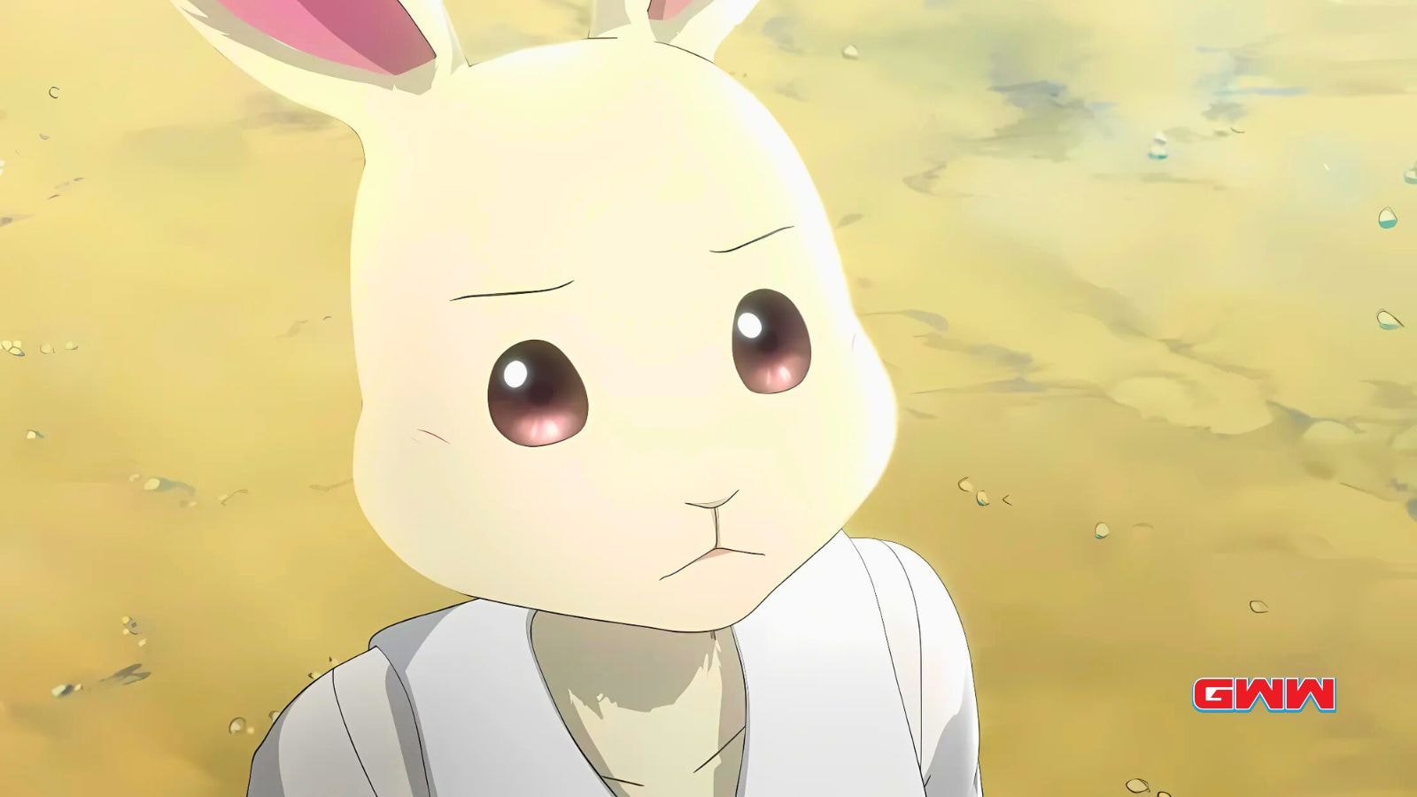 Close-up of Haru the rabbit with a thoughtful expression.