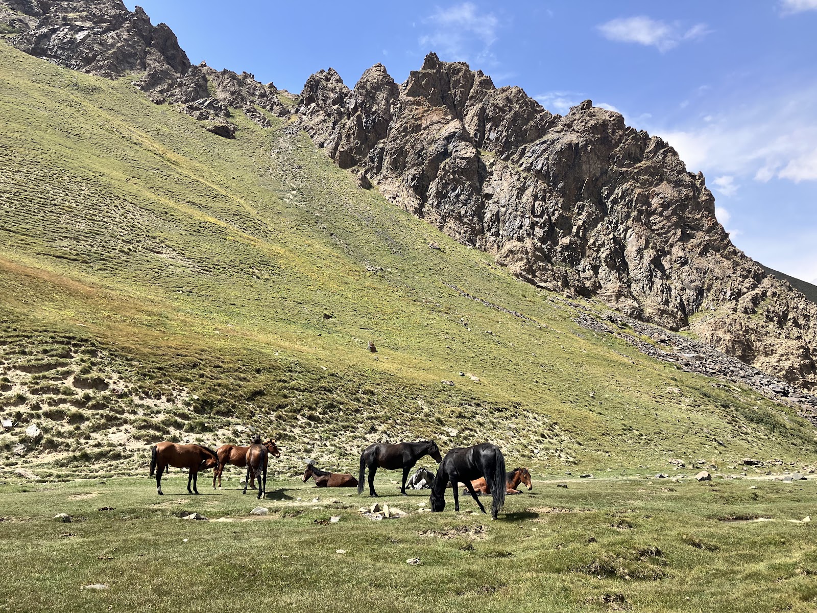 Tash Rabat | Wild Horses with Mountains