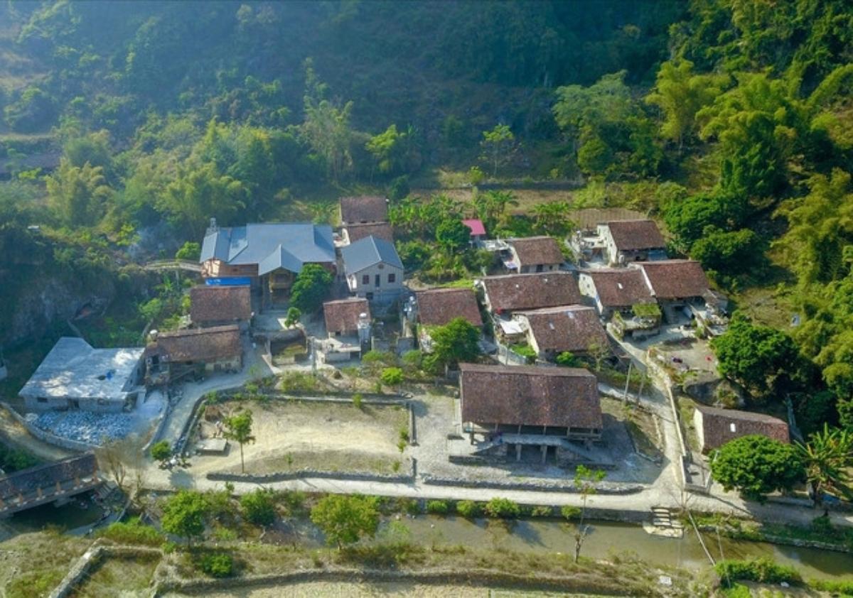 A group of houses in a forest

Description automatically generated