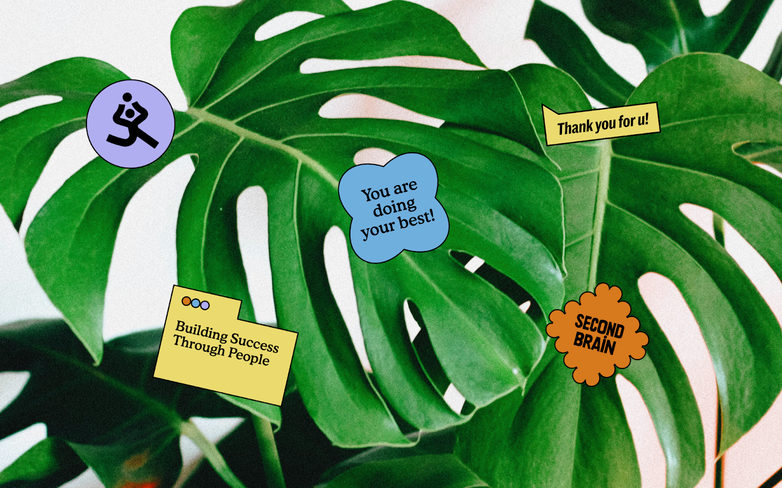 Image from the Unboring Branding: The Second Brain Identity article on Abduzeedo
