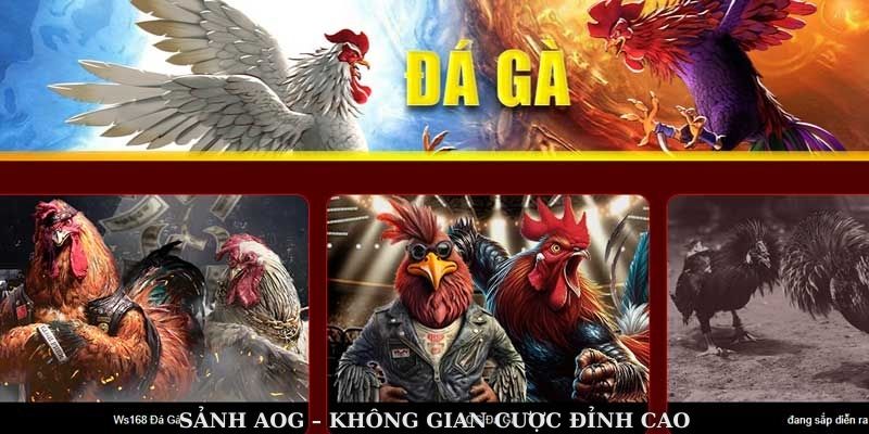 Sảnh AOG – không gian cược đỉnh cao