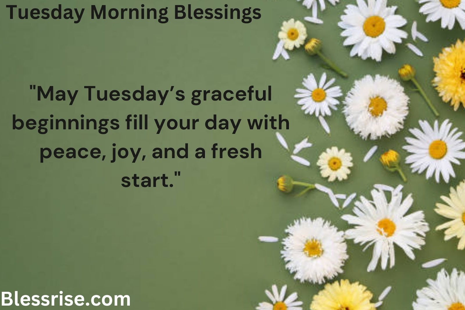 Blessed Tuesday Greetings
