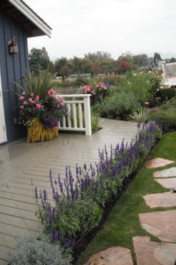 best plants for your michigan deck lavender plants lining composite decking custom built okemos