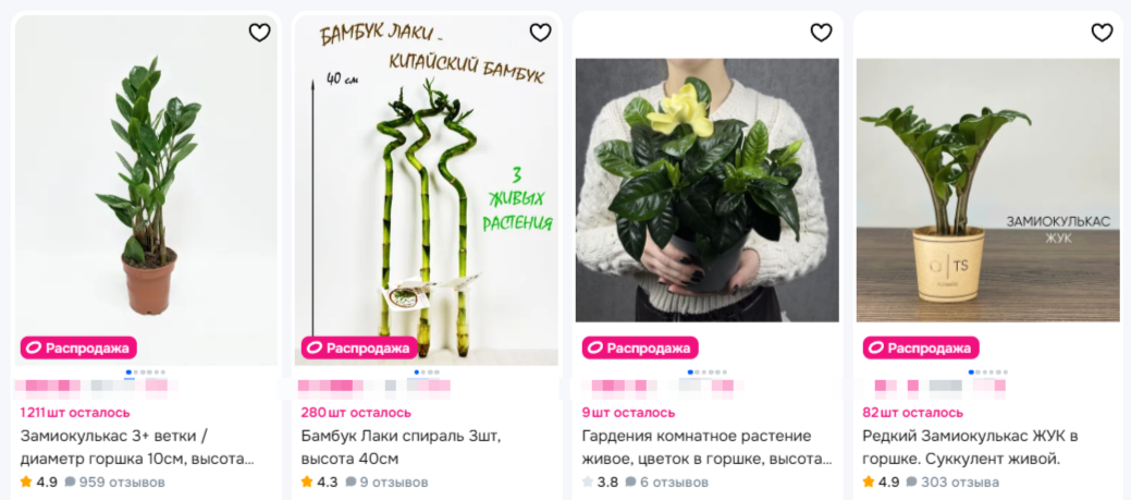 Как выбрать комнатные цветы