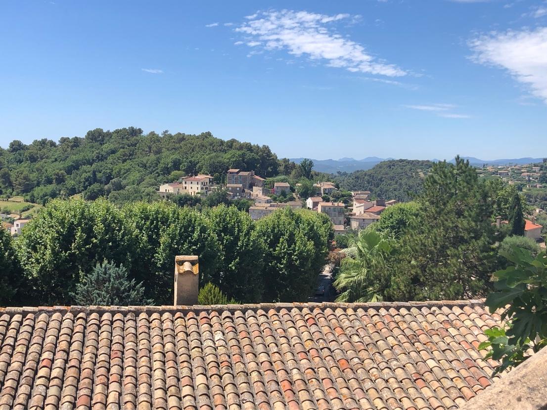 A roof of a building with trees in the background

Description automatically generated