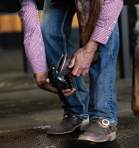 Reining Western Cowboy Scootboot Hoof Boots over Sliders Sliding Plates Horseshoes
