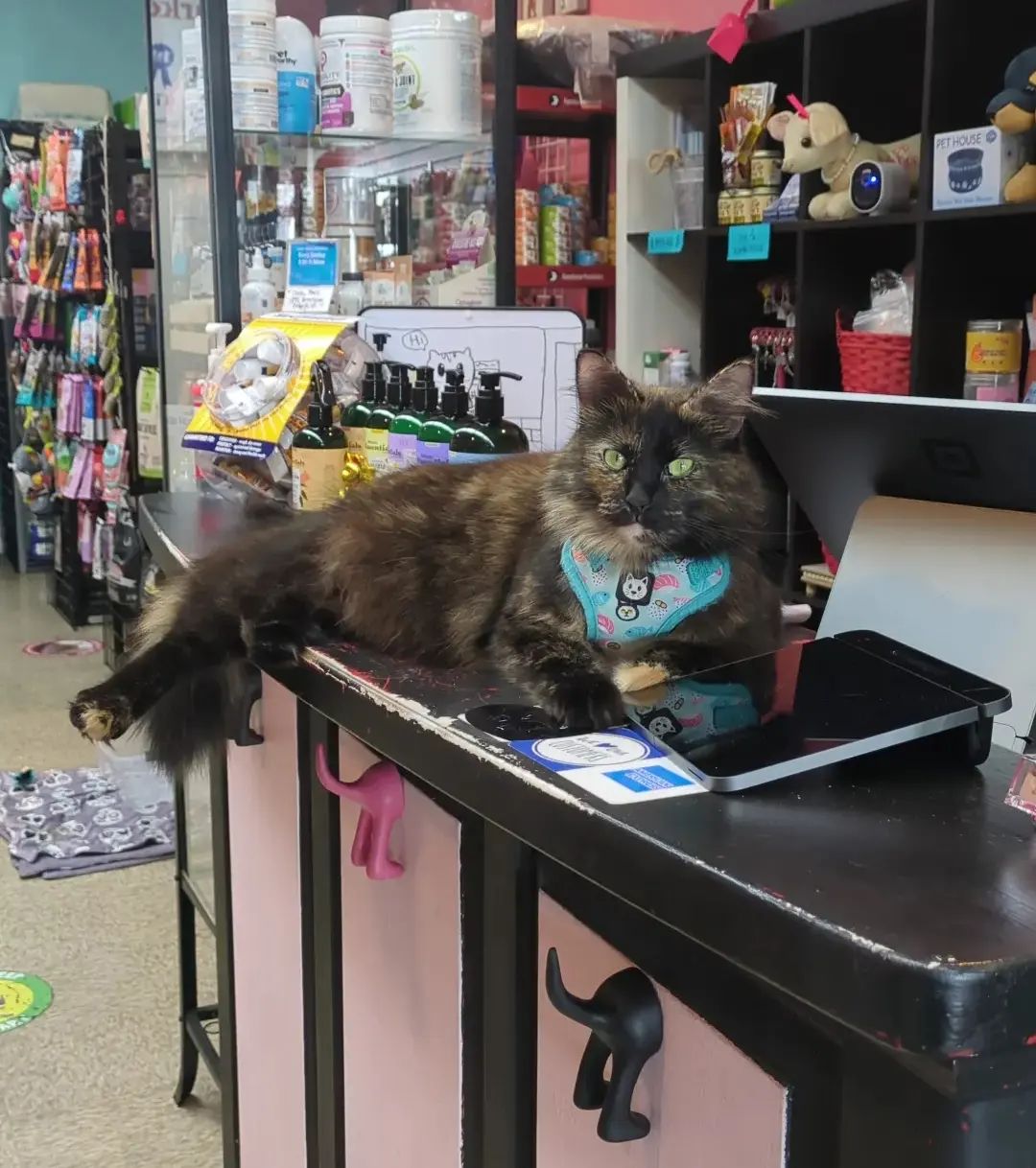 A happy customer at Mugsy's Pet Supply. Photo via Facebook.