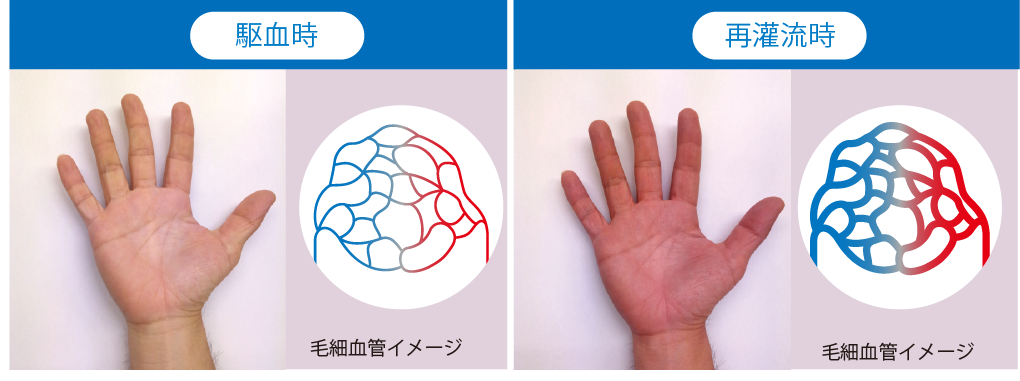 名称未設定-111.png