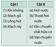 BÀI 25. TRAO ĐỔI NƯỚC VÀ CÁC CHẤT DINH DƯỠNG Ở THỰC VẬT