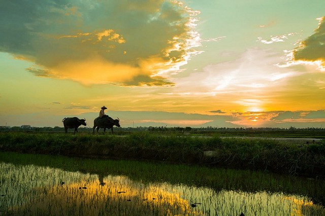Khám Phá Thế Giới Bóng Đá Trực Tuyến Cùng Bongdawap - Nơi Kết Nối Người Hâm Mộ
