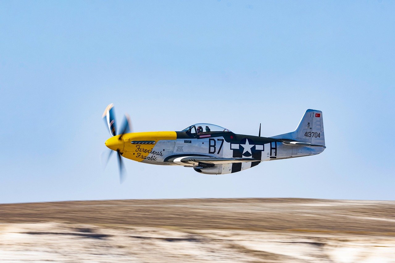 7 Aviation-Themed Gifts That Will Excite Any Flight Enthusiast