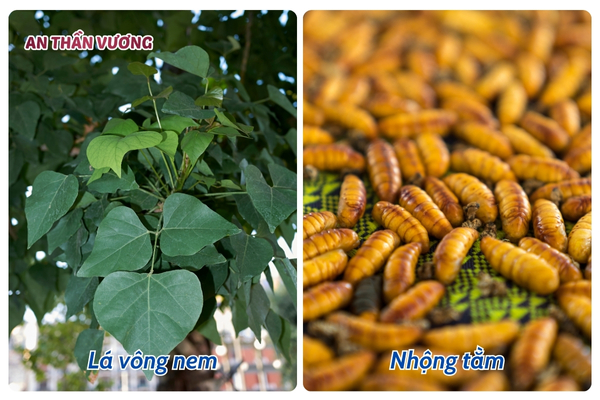 9 thực đơn cho người mất ngủ, đảm bảo ngủ ngon từ tối đến sáng 9 thực đơn cho người mất ngủ, đảm bảo ngủ ngon từ tối đến sáng