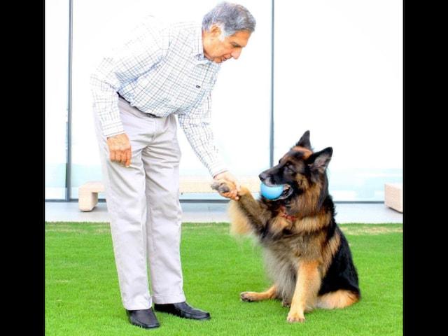 Ratan Tata's Love for Dogs Once Led Him to Skip a Meeting with King Charles - News18