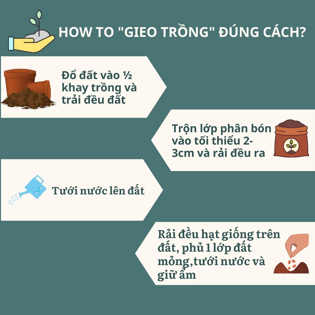 cách sử dụng phân trùn quế