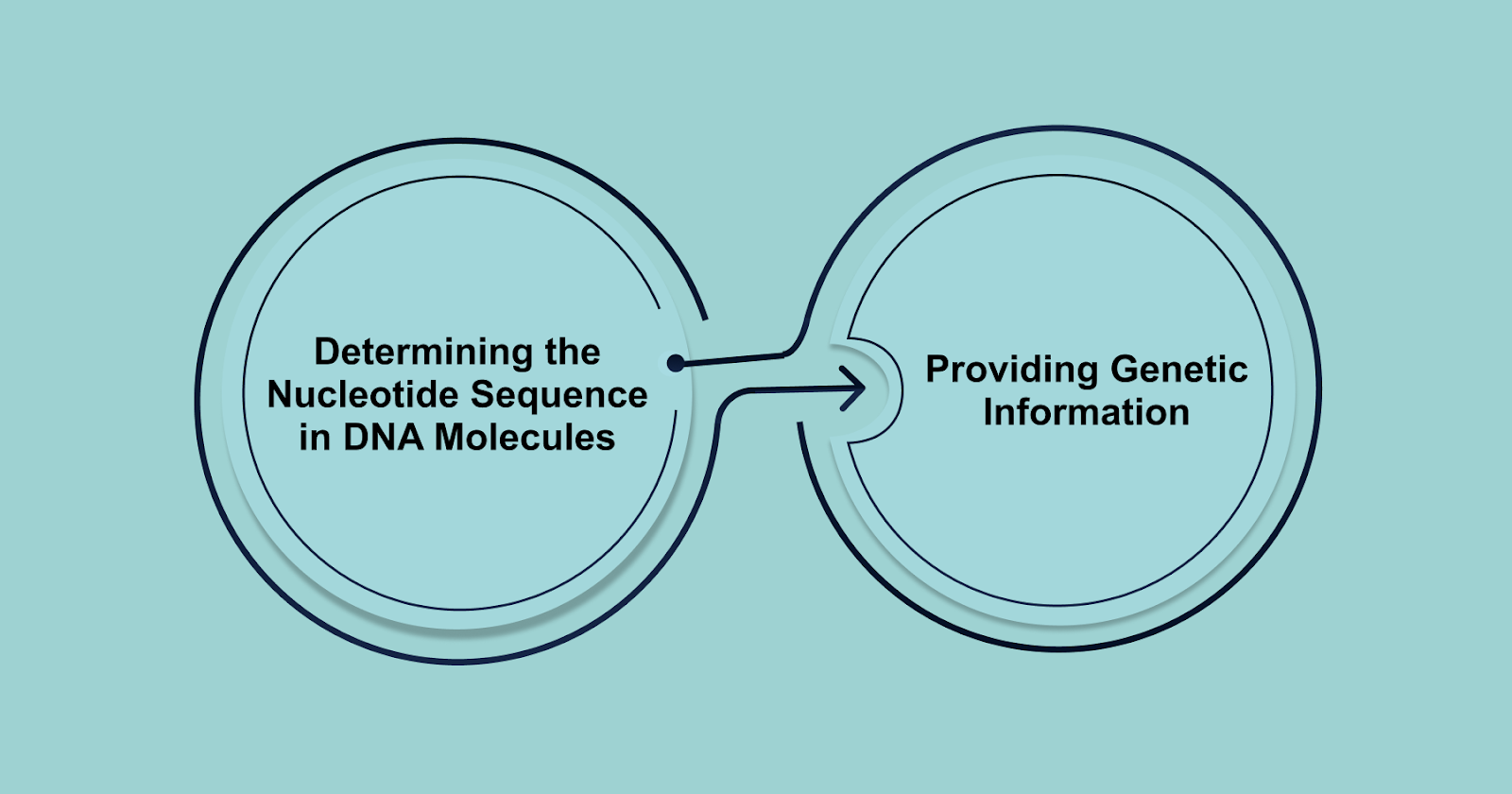 What is DNA Sequencing? & Why is it Important?