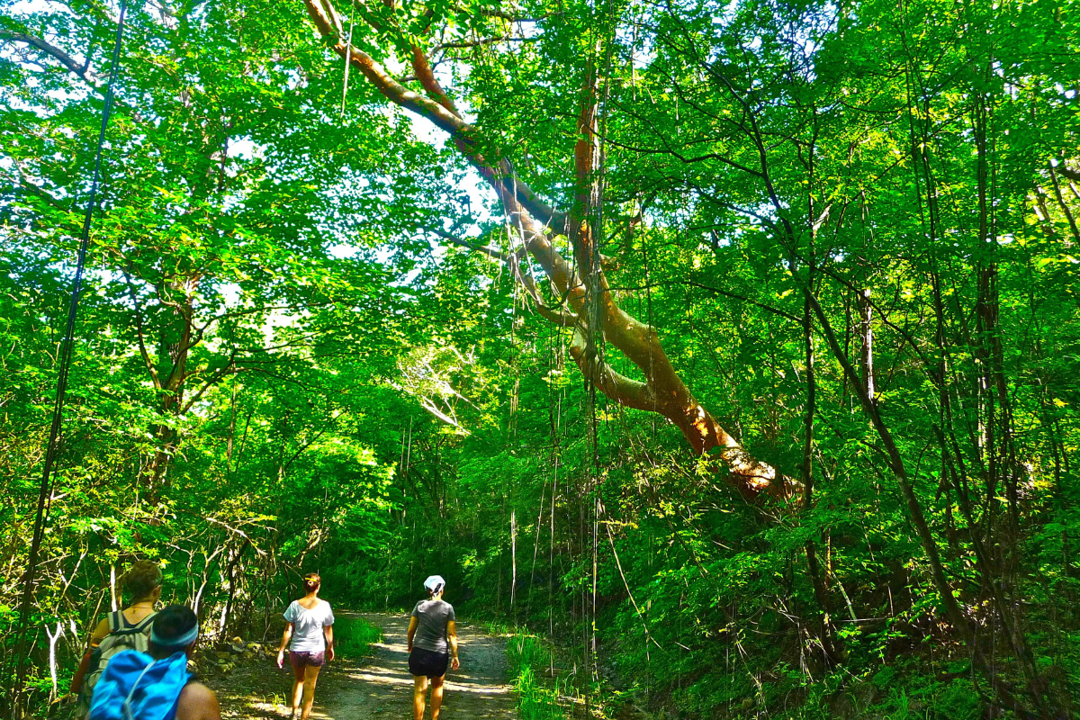 people exploring the Santa Rosa National Park