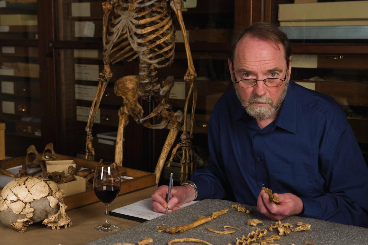 A picture of Dr. Ian Tattersall in the process of documenting animal bones in an office.