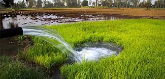 A water pouring out of a hole in a field

AI-generated content may be incorrect.