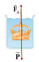 BÀI 11 MỘT SỐ LỰC TRONG THỰC TIỄN