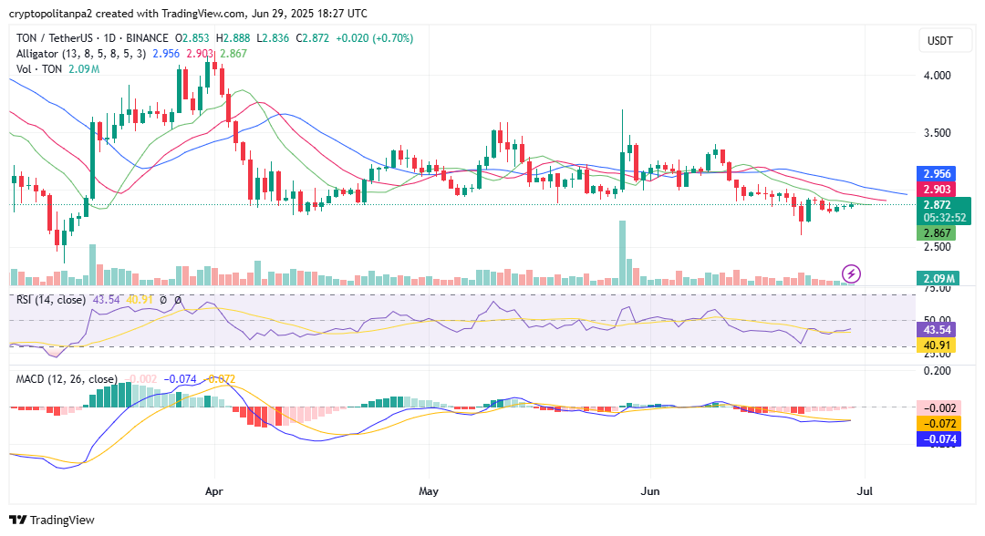 TON/USD 1-day chart. Image Source: TradingView
