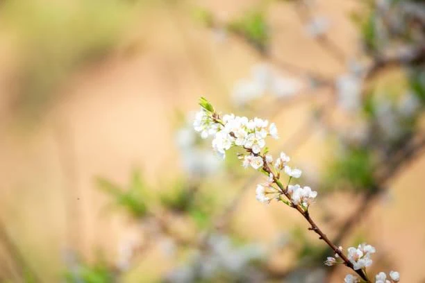 10 Places That Show Nature’s Grace, graceful nature, elegant landscapes, nature, landscape, smooth scenery, soft visuals