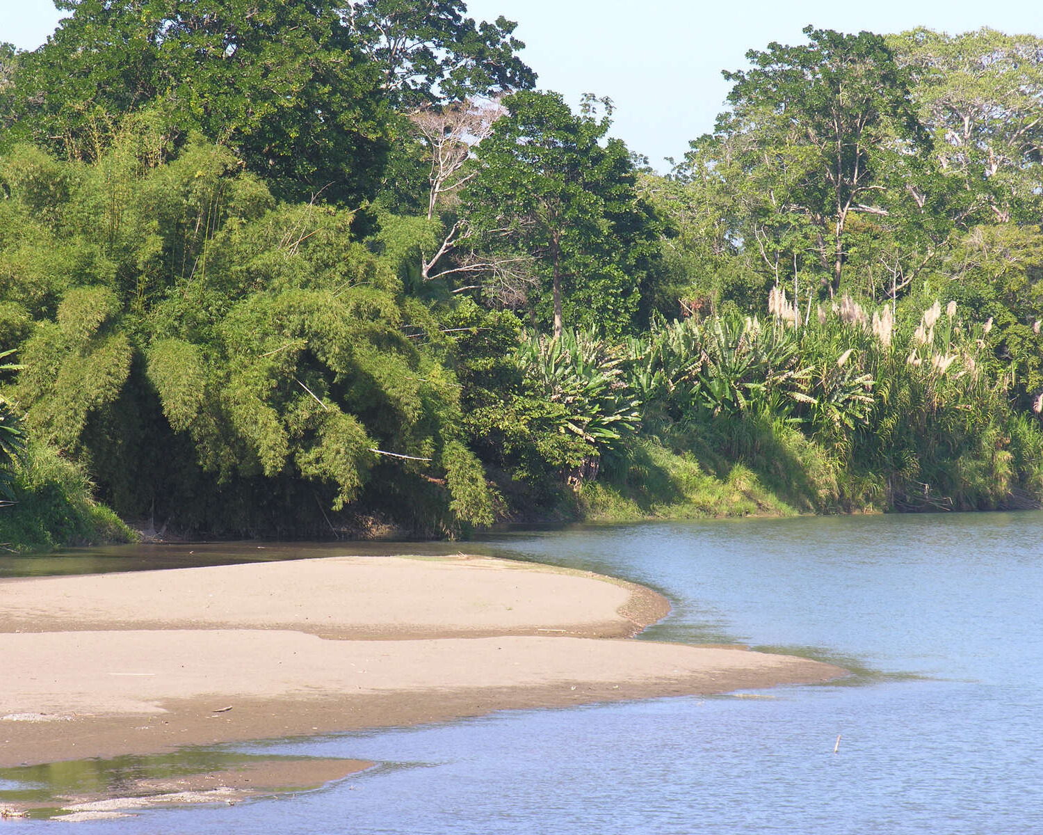 Crystal blue water surrounded by lush greenery.