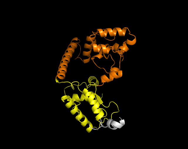 A close-up of a model of a protein

Description automatically generated