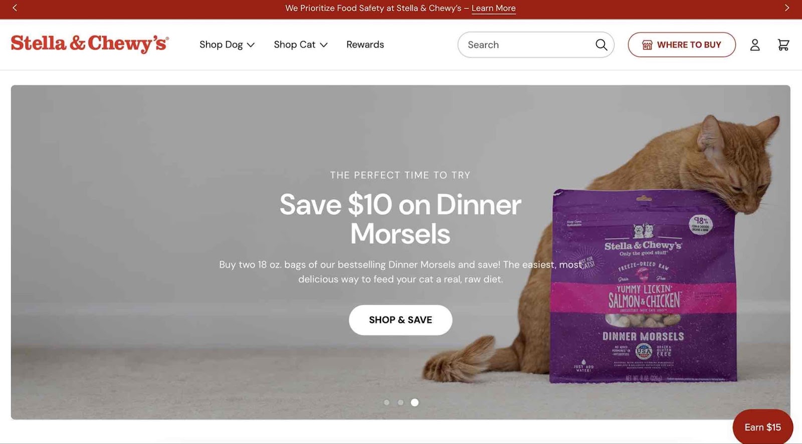 A screenshot of Stella & Chewy's as a pet brand looking influencers 